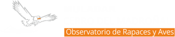 Muladar Cerro del Madroñal Logo